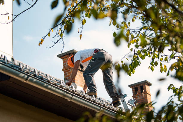 Moose Wilson Road, WY Roofing Contractor Company
