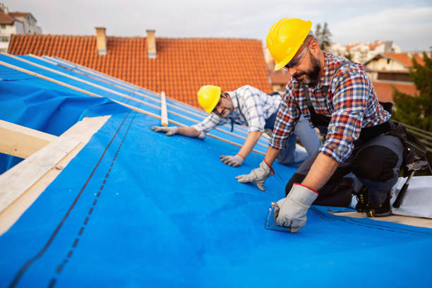 Best Storm Damage Roof Repair  in Moose Wilson Road, WY